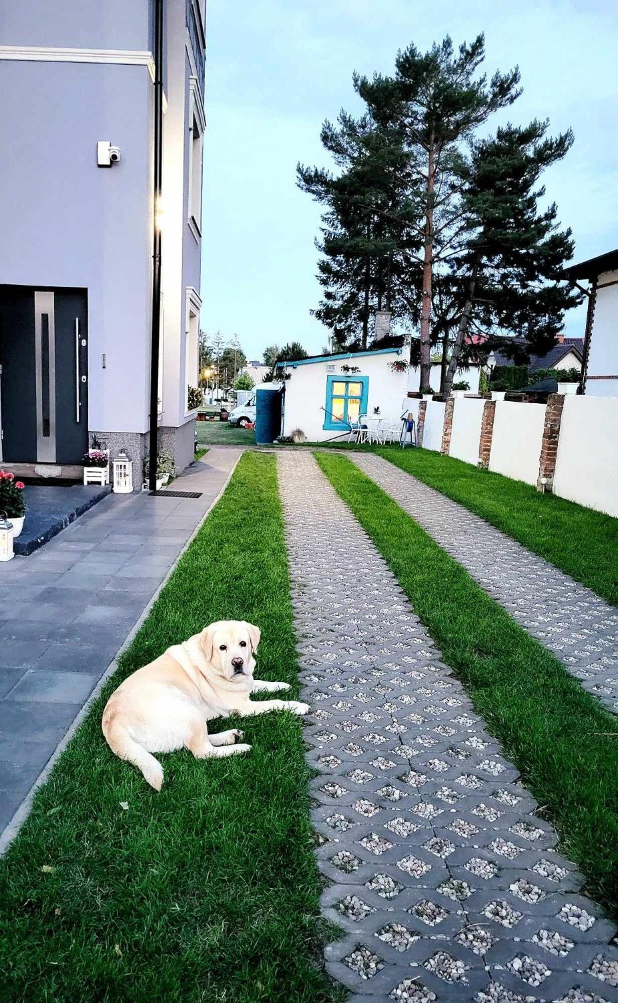Villa Blue Mare Ustronie Morskie Eksteriør bilde